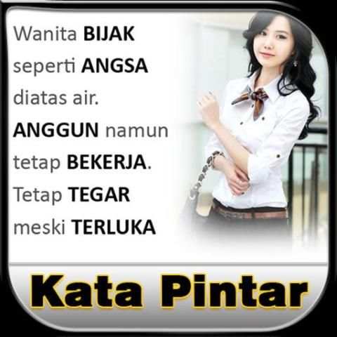 Kata Kata Pintar screenshot 8