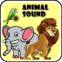 Animal Sound