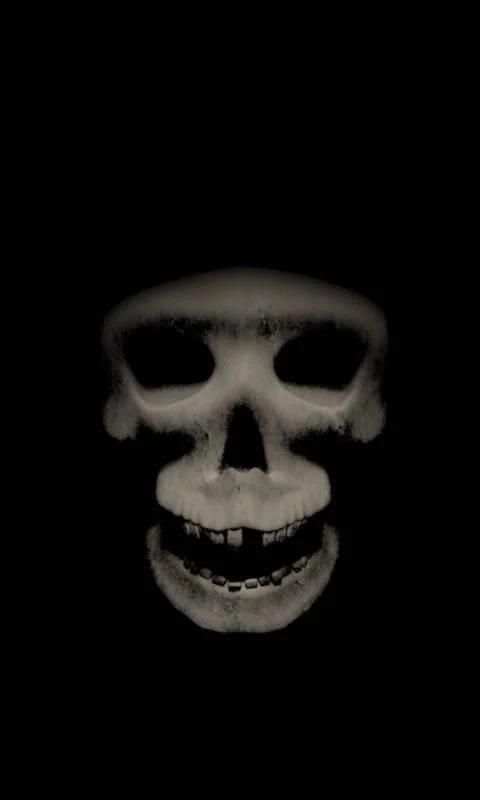 Zombie skull free lwp screenshot 1