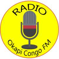 Radio Okapi Congo FM on 9Apps