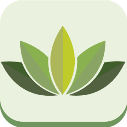 Mascarillas caseras para la cara icon