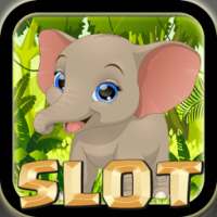 Animals Land Slot Machine