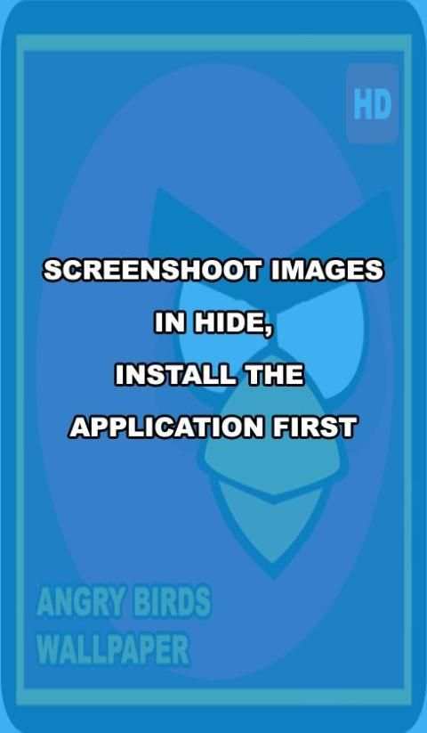 Angry Wallpaper Love Birds HD скриншот 1