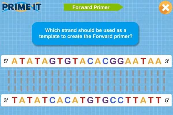 Prime It DNA Game screenshot 4