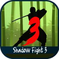 New Guide for Shadow Fight 3