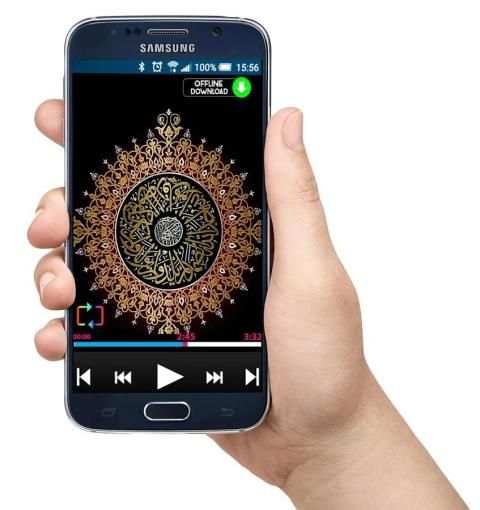 Rabi Ul Awwal Audio Naats screenshot 2
