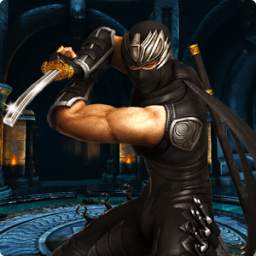 Real Assassin Ninja Warrior Hero - Battle Fight