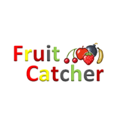 Fruit Catcher أيقونة