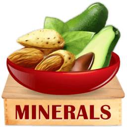 Minerals & Antioxidants Foods