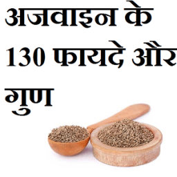 अजवाइन के 130 फायदे और गुण icon