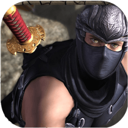 ikon RPG Ninja Quest 3D