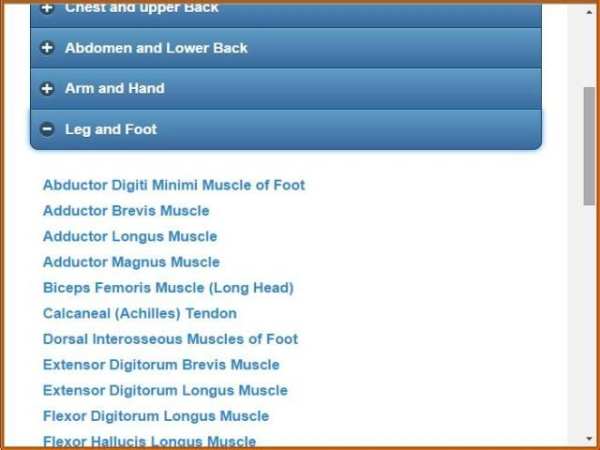 Muscular System(Anatomy) screenshot 1