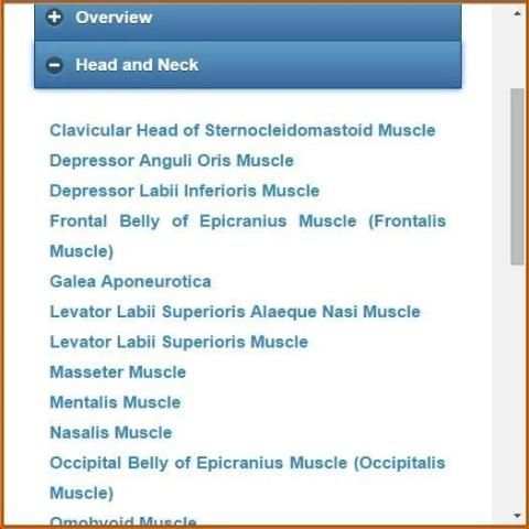 Muscular System(Anatomy) скриншот 7