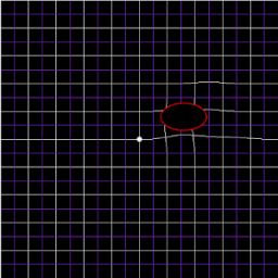 AMD, A Metamorphopsia Detector أيقونة
