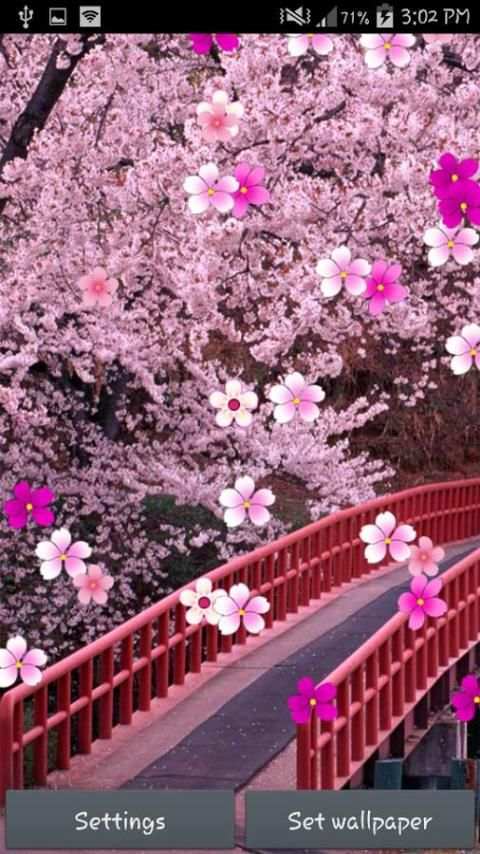 Sakura Live Wallpaper स्क्रीनशॉट 5