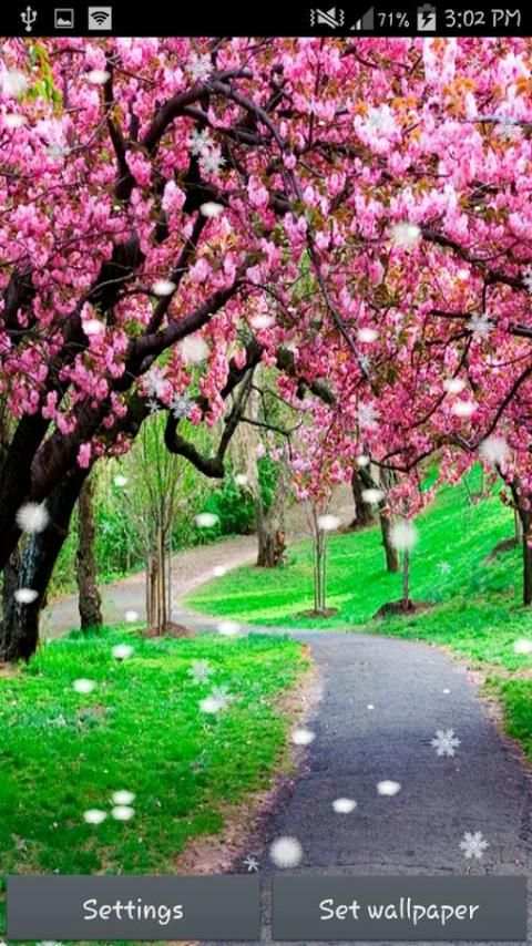 Sakura Live Wallpaper स्क्रीनशॉट 6