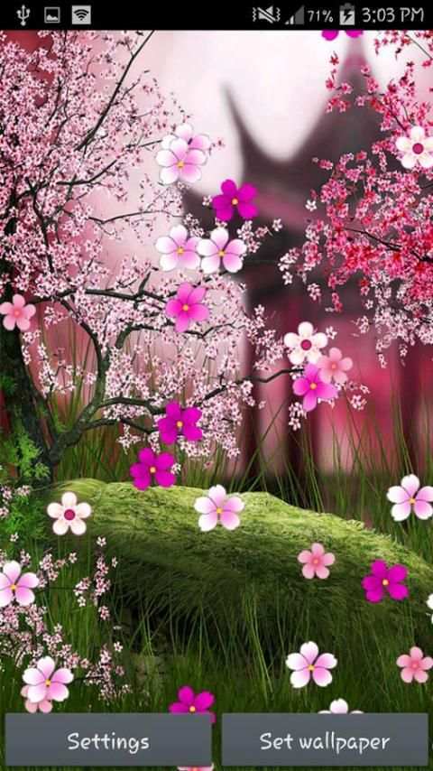 Sakura Live Wallpaper स्क्रीनशॉट 3