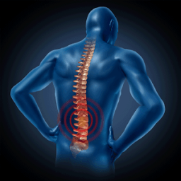Lower Back Exercises at home иконка