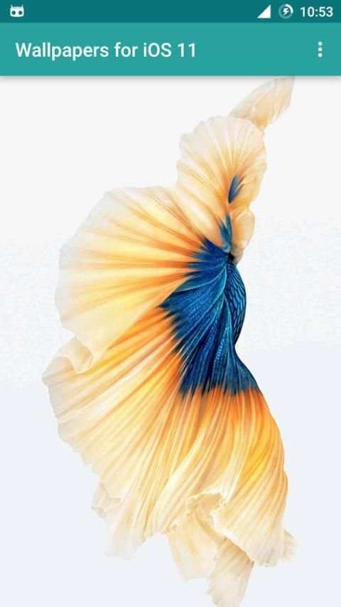 Wallpapers iOS 11 Full HD скриншот 2