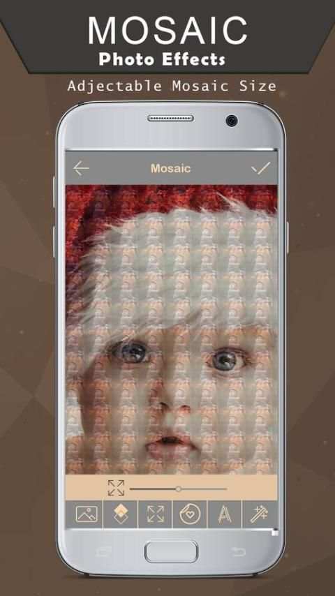 Mosaic Photo Effects 1 تصوير الشاشة