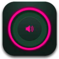 Volume Booster And EQualizer Amplifier