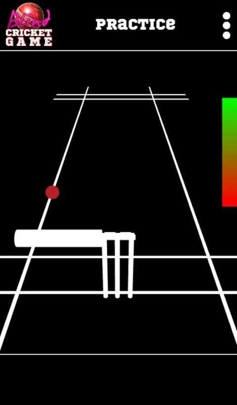 Blind Cricket स्क्रीनशॉट 2