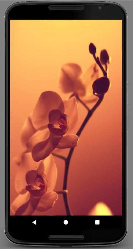 Fullscreen Slideshow скриншот 3