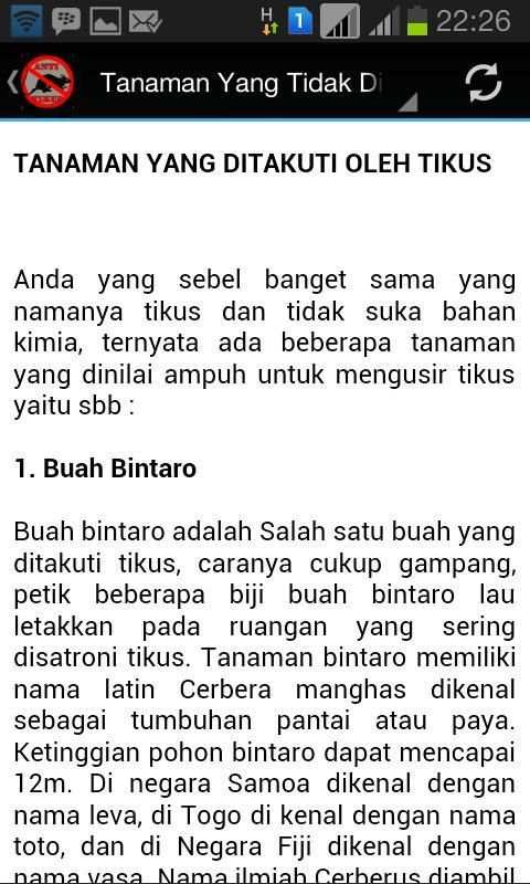 ANTI TIKUS screenshot 1