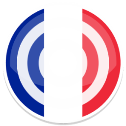 100 French Verbs Lite иконка