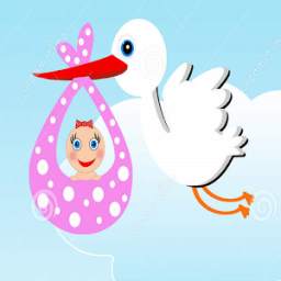 أناشيد طيور الجنة 1.3