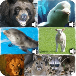 Animal Sound иконка