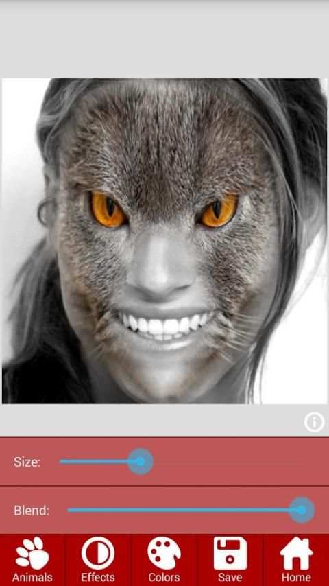 Animal Faces - Face Morphing screenshot 4
