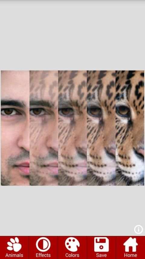 Animal Faces - Face Morphing screenshot 3