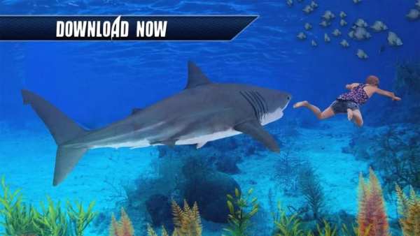 3D Shark Simulator: Survival Game screenshot 7
