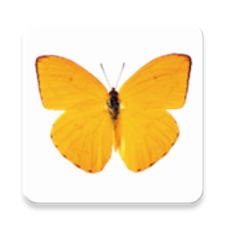 زخرف اسمك بالفراشات icon