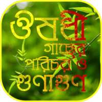 ঔষধি গাছের গুনাগুন bangla herbal medicine ভেষজ on 9Apps