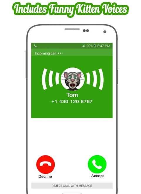 A Call From Talking Tom screenshot 3