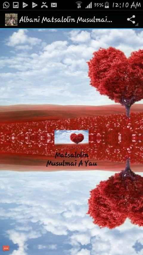 Albani Matsalolin Musulmai MP3 screenshot 2