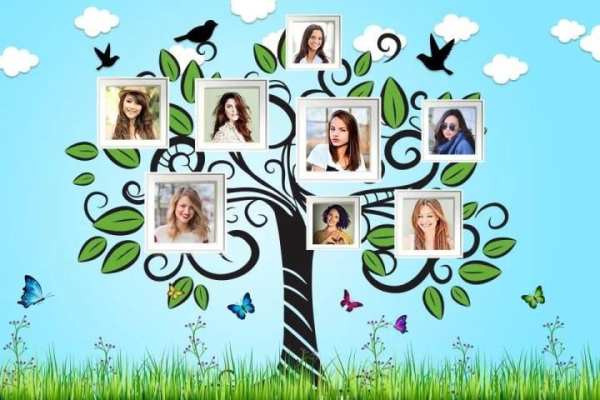 Tree Collage Photo Maker screenshot 1