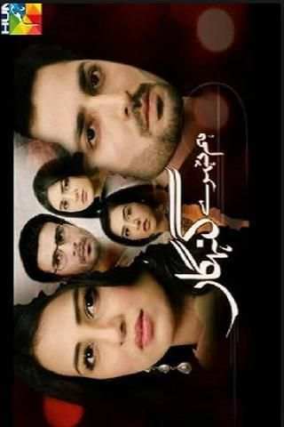 Hum TV Live Streaming screenshot 5