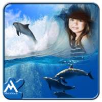 Fish Photo Frames on 9Apps