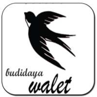 Suara Pemikat Burung Walet on 9Apps