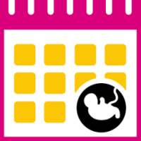 Ovulation Calculator