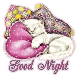 Good Night SMS Messages Msgs
