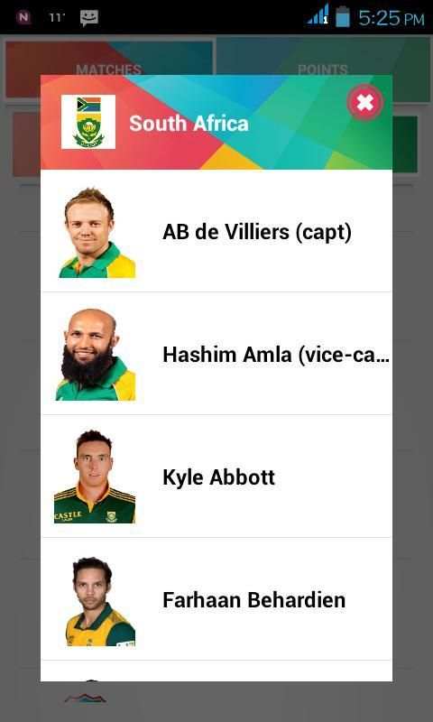 Cricket World Cup Craze 2015 screenshot 1