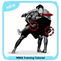 MMA Training Tutorial