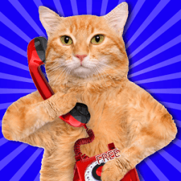 ikon Voice Changer While Calling !