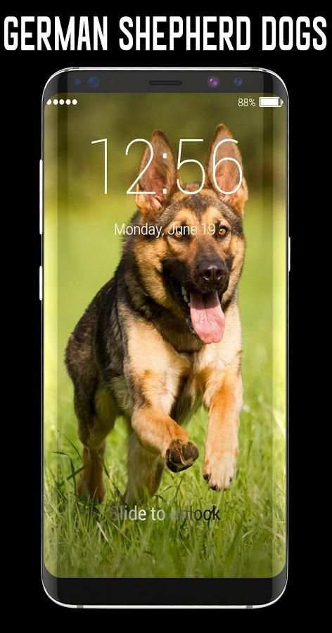 German Shepherd Dog Lock Screen screenshot 8