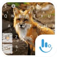 The Fox Keyboard Theme on 9Apps