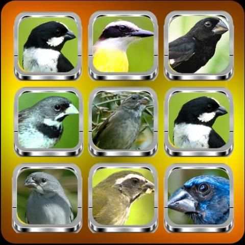 Birdsong Complete | Offline Audio screenshot 3